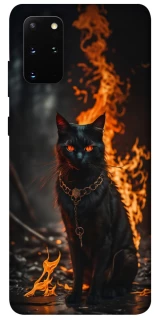 Чохол на Samsung Galaxy S20+ Вогняний кіт фото 1 з 1