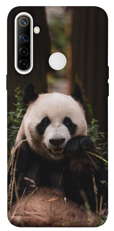 Чохол на Realme 6i Панда фото 1 з 1