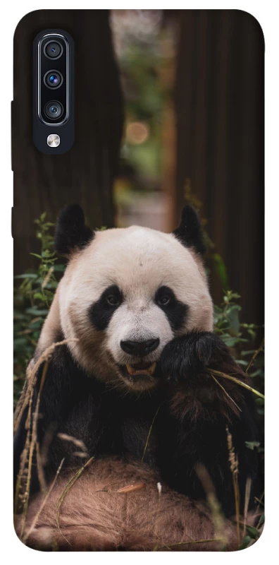 Чехол на Samsung Galaxy A70 (A705F) Панда фото 1 из 1