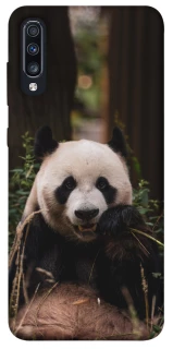 Чехол на Samsung Galaxy A70 (A705F) Панда фото 1 из 1