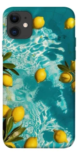 Чехол на Apple iPhone 11 (6.1") Lemon фото 1 из 1