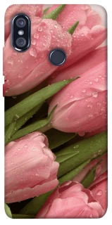 Чохол на Xiaomi Redmi Note 5 Pro / Note 5 (AI Dual Camera) Beauty фото 1 з 1