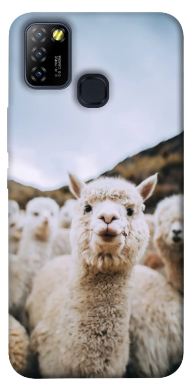 Чехол на Infinix Hot 10 Lite Лама фото 1 из 1