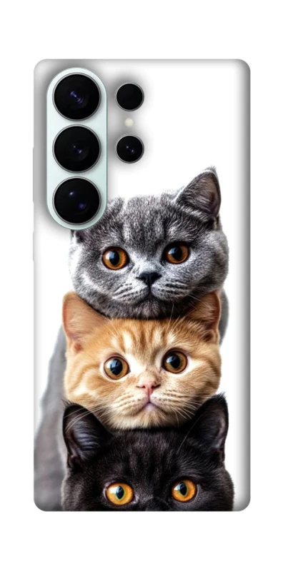 Чохол на Samsung Galaxy S26 Гарні котики фото 1 з 1