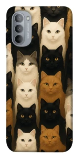 Чехол на Motorola Moto G31 Colorful Cat Collage фото 1 из 1
