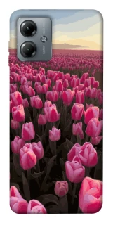 Чехол на Motorola Moto G14 Spring Awakening фото 1 из 1