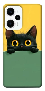 Чохол на Xiaomi Poco F5 / Note 12 Turbo Black cat v2 фото 1 з 1