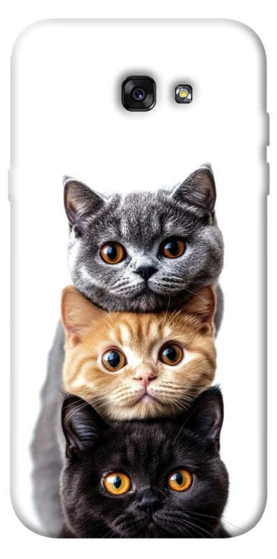 Чохол на Samsung A720 Galaxy A7 (2017) Гарні котики фото 1 з 1