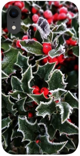 Чехол на Apple iPhone XR (6.1") Новогодний v32 фото 1 из 1