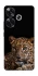 Чохол на Xiaomi Poco F6 Leopard v4 фото 1 з 1
