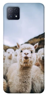 Чохол на Oppo A72 5G / A73 5G Лама фото 1 з 1