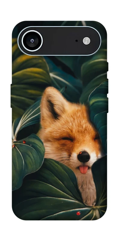 Чехол на Apple iPhone 17 Air (6.5") Fox фото 1 из 1