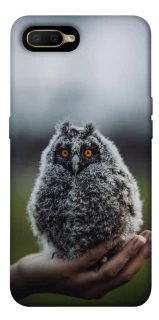 Чехол на OPPO A5 / A3S / AX5 / R15-NEO Совёнок фото 1 из 1