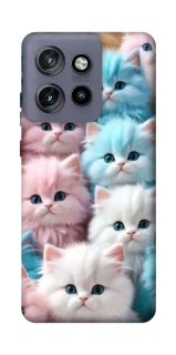 Чехол на Motorola Edge 50 Neo Kittie Love фото 1 из 1