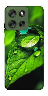 Чохол на Motorola Moto G56 5G Flowers v16 фото 1 з 1