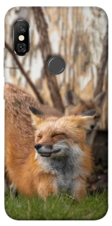 Чехол на Xiaomi Redmi Note 6 Pro Лиса фото 1 из 1