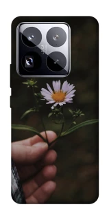 Чехол на Xiaomi 15 Pro Ромашка v4 фото 1 из 1