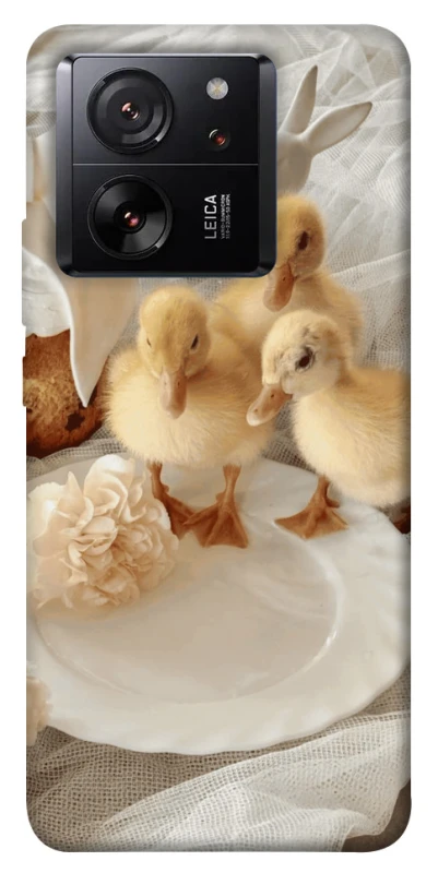 Чехол на Xiaomi 13T Pro Easter Vibes фото 1 из 1