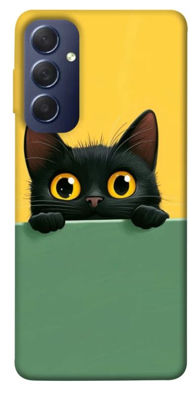 Чохол на Samsung Galaxy M54 5G Black cat v2 фото 1 з 1