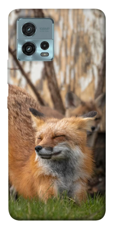 Чохол на Motorola Moto G72 Лисиця фото 1 з 1