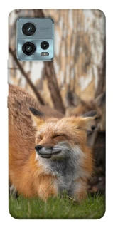 Чохол на Motorola Moto G72 Лисиця фото 1 з 1