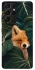 Чохол на Samsung Galaxy S21 Ultra Fox фото 1 з 1