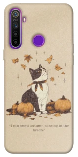 Чехол на Realme 5 Autumn vibes ver.3 фото 1 Чехол на Realme 5 Autumn vibes ver.3 фото 1 из 1