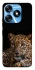 Чехол на TECNO Spark 10 Leopard v4 фото 1 из 1