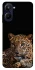 Чехол на Realme 10 4G Leopard v4 фото 1 из 1