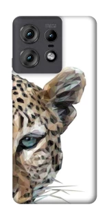 Чохол на Motorola Edge 50 Pro Leopard Art v2 фото 1 з 1