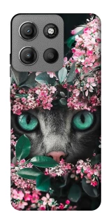 Чохол на Motorola Moto G15 4G Кіт в квітах фото 1 з 1