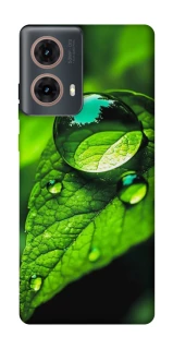 Чохол на Motorola Moto G85 Flowers v16 фото 1 з 1