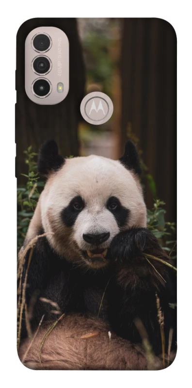 Чехол на Motorola Moto E40 Панда фото 1 из 1