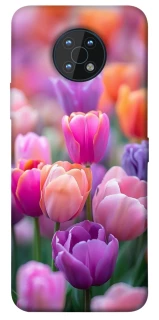 Чохол на Nokia G50 Тюльпанове поле фото 1 з 1