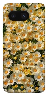 Чехол на Google Pixel 8 Camomile фото 1 из 1