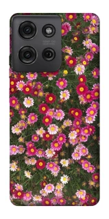 Чохол на Motorola Moto G75 Flowers v8 фото 1 з 1
