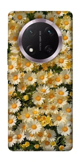 Чохол на Honor X9c Camomile фото 1 з 1