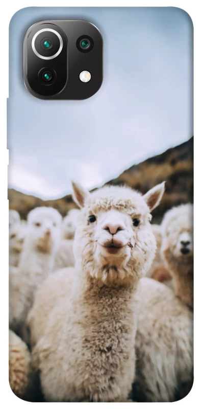 Чохол на Xiaomi Mi 11 Lite Лама фото 1 з 1