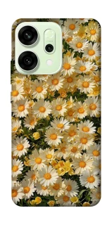 Чохол на Oppo Reno 14 Camomile фото 1 з 1