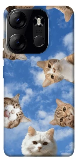 Чехол на Tecno Spark Go 2023 Сats фото 1 из 1