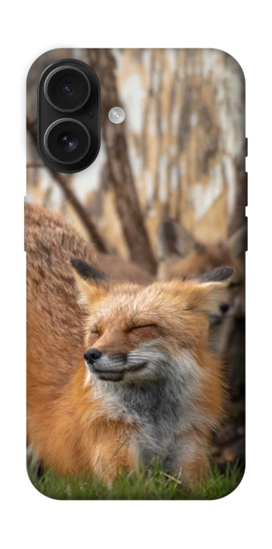 Чехол на Apple iPhone 16 Лиса фото 1 из 1