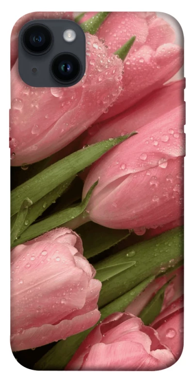 Чохол на Apple iPhone 14 Plus (6.7") Beauty фото 1 з 1