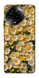 Чохол на Realme C67 4G Camomile фото 1 з 1