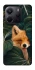 Чохол на Xiaomi Redmi Note 14 4G (Europe version) Fox фото 1 з 1