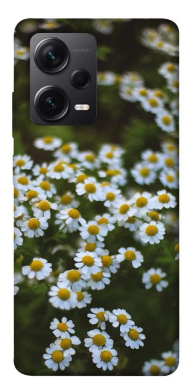 Чехол на Xiaomi Redmi Note 12 Pro 5G Ромашки v13 фото 1 из 1