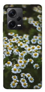 Чехол на Xiaomi Redmi Note 12 Pro 5G Ромашки v13 фото 1 из 1