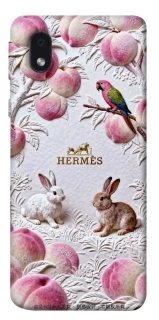 Чехол на Samsung Galaxy M01 Core / A01 Core Hermes фото 1 из 1