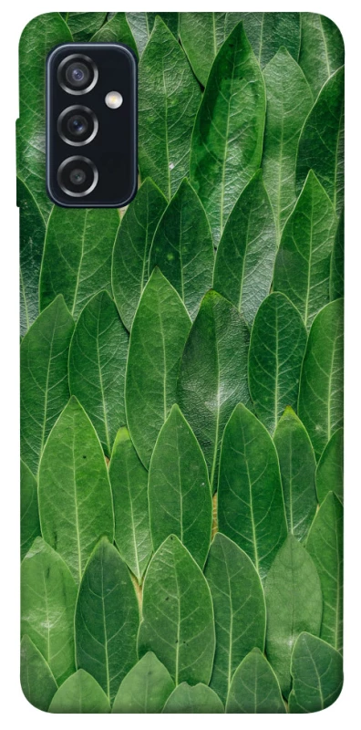 Чехол на Samsung Galaxy M52 Листья фото 1 из 1