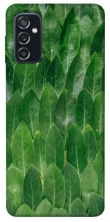 Чохол на Samsung Galaxy M52 Листя фото 1 з 1
