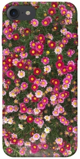 Чохол на Apple iPhone 7 / 8 (4.7") Flowers v8 фото 1 з 1